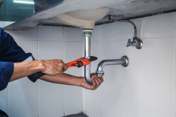 Best Plumbing Inspection Services  in Hamilton, MT